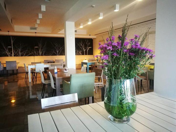 Divčibare Heba酒店 外观 照片